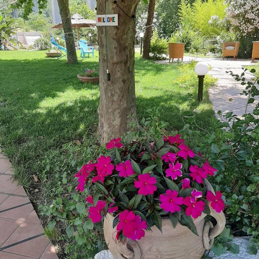 Hotel Parco Delle Rose อัคควัปเปซา ภายนอก รูปภาพ