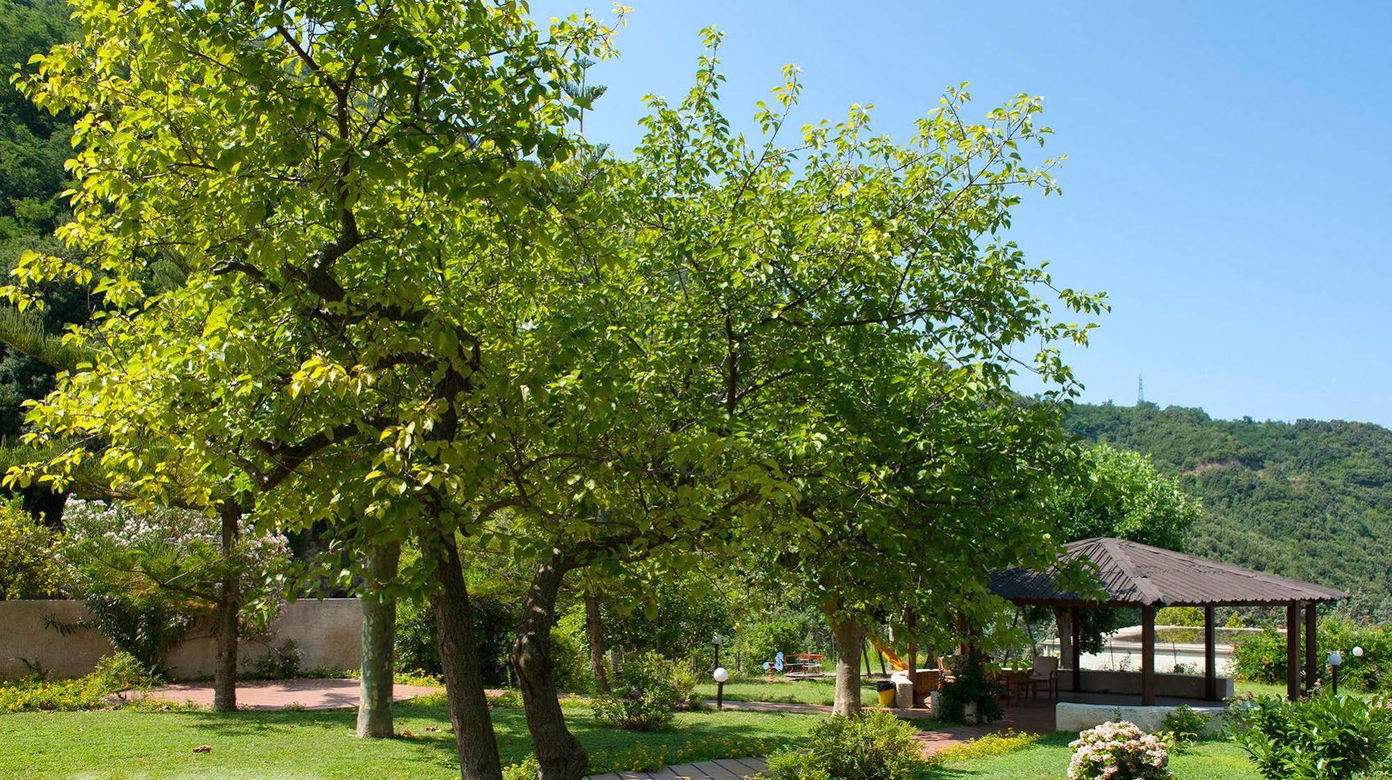 Hotel Parco Delle Rose อัคควัปเปซา ภายนอก รูปภาพ
